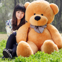 泰迪熊大号公仔毛绒玩具抱抱熊玩偶布娃娃1.6米生日礼物抱枕送女