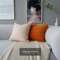 橘色千鸟格靠包轻奢美式抱枕现代简约ins北欧沙发靠垫设计师靠枕