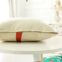卡通抱枕仿亚麻靠垫家用沙发靠背靠枕套不含芯50x50cm45x45正方形