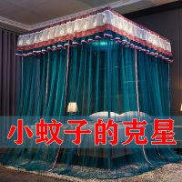 家用蚊帐三开门宫廷落地加密帐纱公主风2.0m1.5m1.8m1米床夏文帐