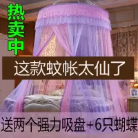 免安装圆顶吊顶宫廷落地蚊帐1.2米床1.5米/1.8米/2米床加密公主风