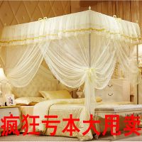 蚊帐加密帐纱加粗支架三开门蚊帐公主落地支架1.5m床1.8m床家用
