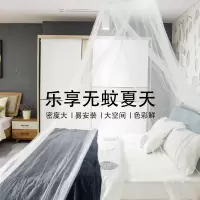 圆顶蚊帐家用1.5米学生宿舍上铺公主风1.8米特加密吊顶免安装蚊帐