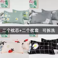 枕头学生枕芯送枕套一对可爱少女心宿舍单人一只成人护颈枕头套装