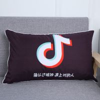 学生宿舍单人枕头送枕套可拆洗卡通情侣成人护颈枕芯家用保健枕头
