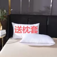 枕头枕芯酒店柔软成人羽丝绒枕单人学生宿舍家用一只装一对装