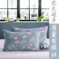 枕头枕芯一对送枕套学生宿舍情侣套装双人成人枕头芯单人抱枕两用