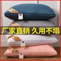 枕头芯送枕套装 成人护颈椎枕芯一对 双人枕头学生单人一个家用枕