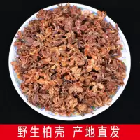 柏壳枕头枕芯沂蒙山野生侧柏壳扁柏树壳助睡眠少白头乌发黑发枕头