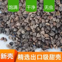 荞麦壳荞麦皮棱子皮高温免洗消毒婴儿枕头荞麦枕芯枕头填充物