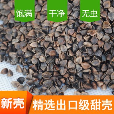 荞麦壳荞麦皮棱子皮高温免洗消毒婴儿枕头荞麦枕芯枕头填充物
