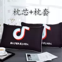 新款学生宿舍枕头枕套一对单人成人迷你可爱卡通一只护颈枕芯