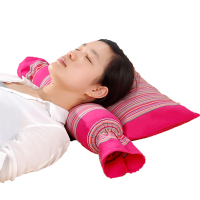 全荞麦枕头保健枕头颈椎枕头颈椎专用荞麦枕头枕芯中4斤