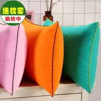 枕头芯套装一对可爱少女心成人一只单人学生保护颈椎大人软高枕芯