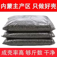 5/6/8斤甜荞麦壳散装枕头枕芯填充物小孩成人护颈椎枕纯荞麦皮枕