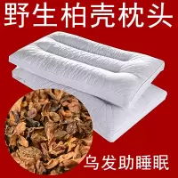 柏壳枕头枕芯乌发保健枕失眠单人成人