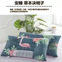 新品决明子枕头芯一对装成人颈椎护颈枕单人枕芯一个ins学生枕头