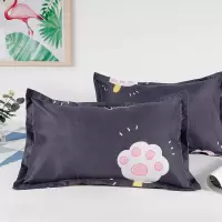 枕头套装可爱少女心学生宿舍枕头成人家用宿舍