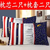 枕芯一对送枕套带拉链单人枕头一对成人家用枕芯一只枕套套装