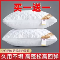 枕头一对装护颈椎枕头芯成人家用高弹可水洗枕芯一对