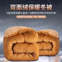 加厚羊羔绒被子双面绒保暖冬被被芯棉被秋冬被单双人学生宿舍被褥