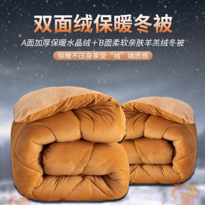 加厚羊羔绒被子双面绒保暖冬被被芯棉被秋冬被单双人学生宿舍被褥
