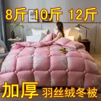 8斤10斤12斤加厚羽丝绒被子 保暖冬被芯棉被单双人太空被