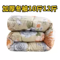 加厚保暖棉被羽丝绒被芯单人宿舍被子双人6/8/10斤春秋冬被褥特价