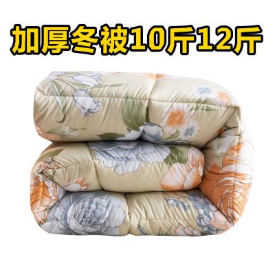 加厚保暖棉被羽丝绒被芯单人宿舍被子双人6/8/10斤春秋冬被褥特价