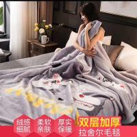 不褪色双层加厚拉舍尔毛毯不掉毛被子卧室盖毯办公室午睡儿童抱毯