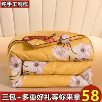 蚕丝被桑蚕丝全棉春秋被子夏凉被单人双人冬被加厚空调被被芯