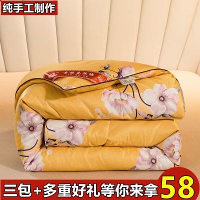 蚕丝被桑蚕丝全棉春秋被子夏凉被单人双人冬被加厚空调被被芯