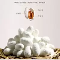 蚕丝被冬天被子桑蚕丝被芯空调被春秋被加厚冬被双人被