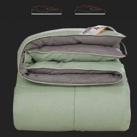 蚕丝被桑蚕丝春秋夏凉薄被子空调被芯学生加厚冬被