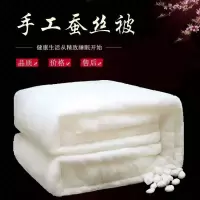 蚕丝被子冬被空调被双人被芯春秋被加厚保暖棉被冬季单人学生宿舍