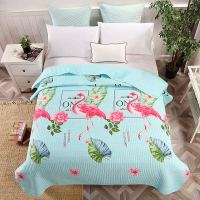 厂家直销水洗棉夏被夏凉被单双人空调被可机洗桁绣床盖款夏被