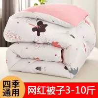 被子冬被夏凉被春秋薄四季被芯单人学生宿舍棉被褥双人太空调被