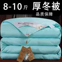 加厚被子丝棉被芯春秋冬被褥空调被冬天保暖双人冬季10斤8斤特价