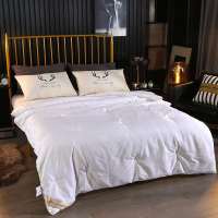 桐乡纯手工桑蚕丝被芯春秋被子母被空调被夏凉被学生被