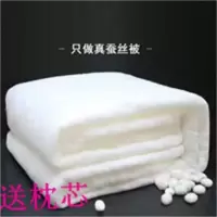 桐乡蚕丝被夏凉被春秋被冬季蚕丝被空调被桑蚕丝子母被双人