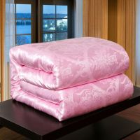 送被套蚕丝被桑蚕丝加厚保暖冬被春秋被空调被