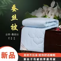 蚕丝被100桑蚕丝夏凉被子空调被单人双人被芯冬被全棉春秋子母被