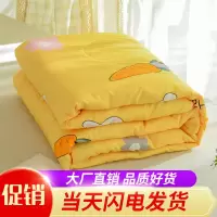 空调被夏凉被夏季被子春秋被芯单双人儿童可机洗夏被