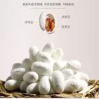 蚕丝被冬被桑蚕丝被芯空调被春秋被双人被子冬天加厚
