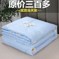 被子被芯空调被双人春秋被单人加厚冬被保暖学生宿舍冬天棉被褥子