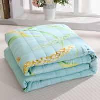 水洗棉空调被夏凉被单双人夏被芯儿童被夏天可水洗机洗春秋薄被子