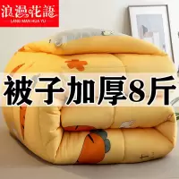 被子加厚冬被芯保暖双人冬季棉被单人宿舍春秋被心空调被