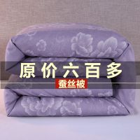 蚕丝被桑蚕丝冬被加厚保暖被芯单人双人春秋被空调被子