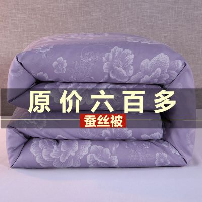 蚕丝被桑蚕丝冬被加厚保暖被芯单人双人春秋被空调被子