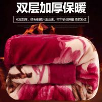 绎生活双层拉舍尔毯子冬季加厚珊瑚法兰绒毛毯单双人保暖学生被子